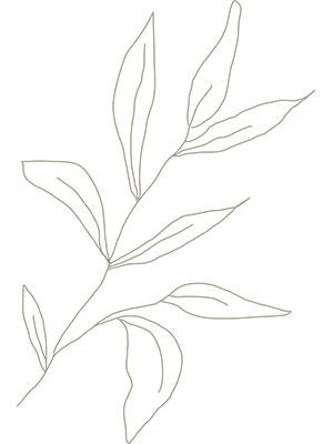 leaf 1