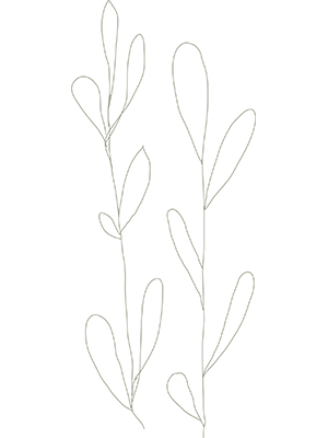 leaf4