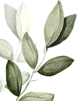 spa background 04 1